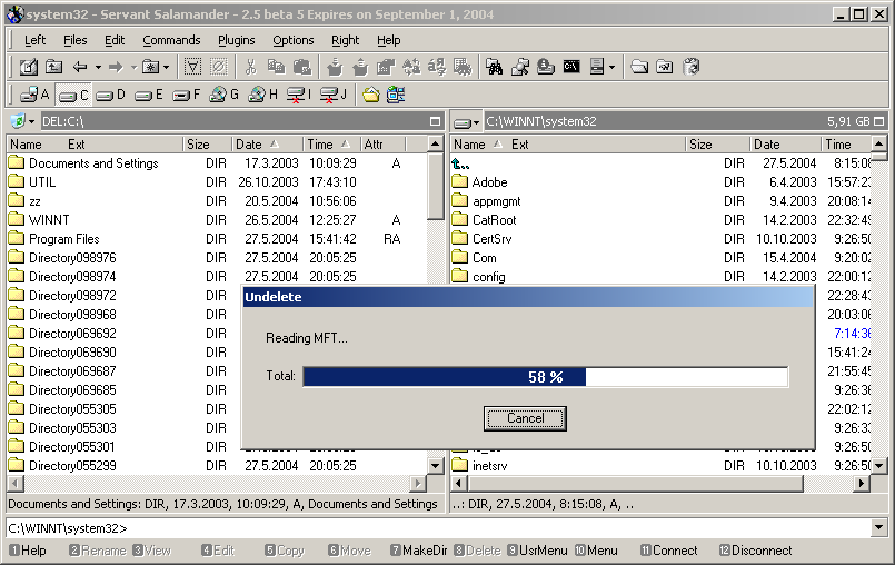 We are preparing two new plugins: UNDELETE will be able to recover your deleted files. NTFS and FAT 12, 16, and 32 will be supported.